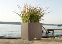 Lechuza Cube Cottage