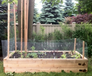backyard vegetable garden