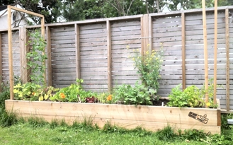 backyard vegetable garden
