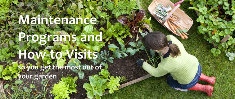 vegetable garden maintenance