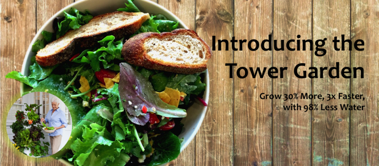Tower Garden Toronto
